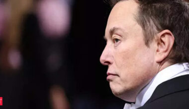 immigration policies Germany: Elon Musk backs Germany's AfD campaign launch amid protests