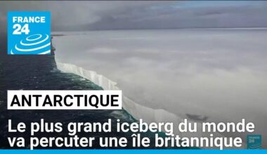 Le plus grand iceberg du monde va percuter une île britannique • FRANCE 24