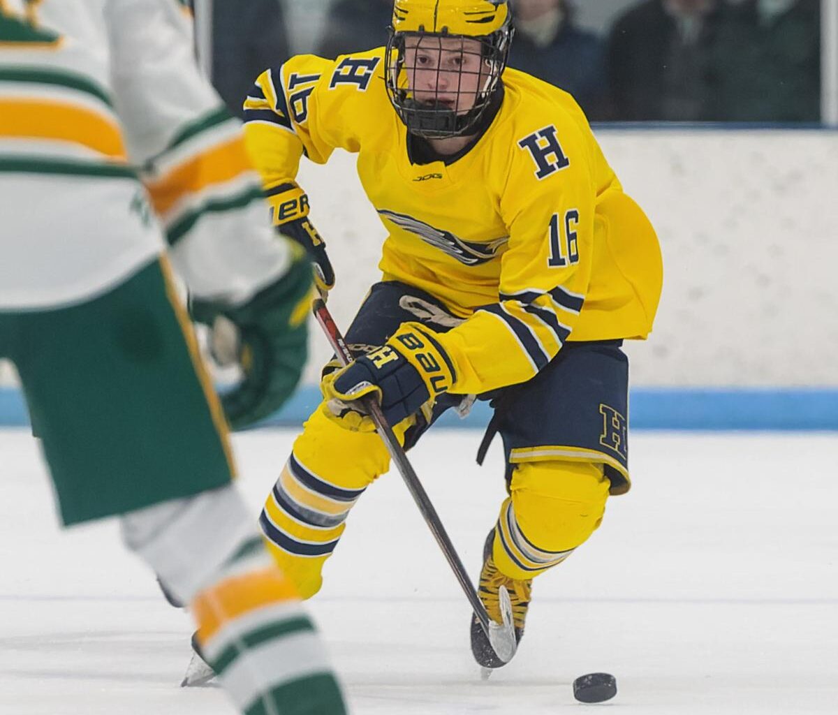 Livingston County hockey scoring, goalie leaders through 20 games