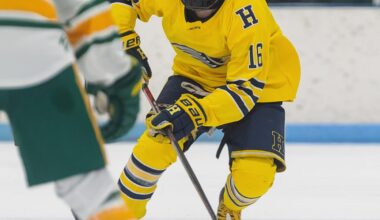 Livingston County hockey scoring, goalie leaders through 20 games