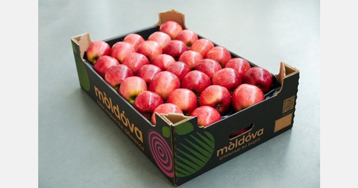 Moldovan apple exporters not discouraged by sudden sharply higher energy prices