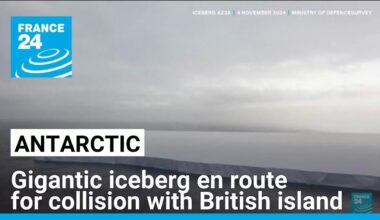 World's biggest iceberg en route for collision with remote British island • FRANCE 24 English