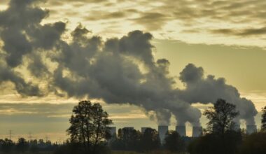 Slovensko podporí Poľsko proti Green Dealu: Ničí ekonomiku na európskom kontinente | LesMedium.sk