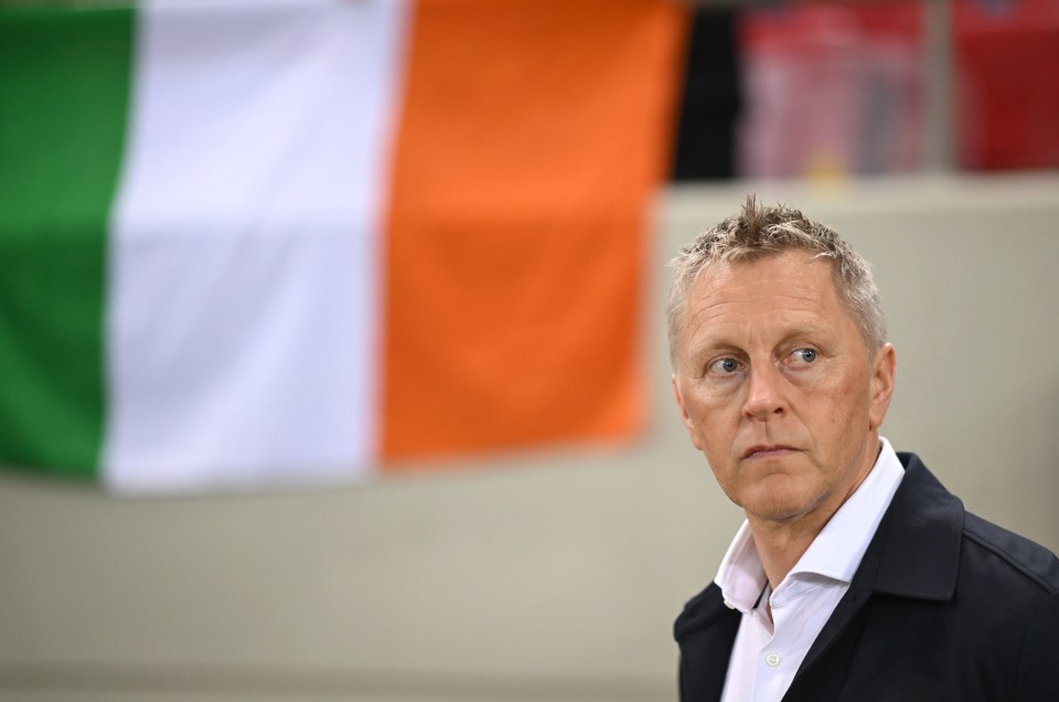 Republic of Ireland head coach Heimir Hallgrimsson says he's not interested in returning as Iceland manager just yet