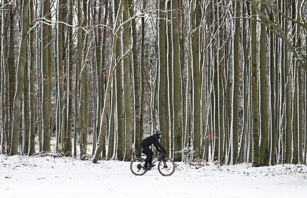 A cyclist in the forest near Košice, eastern Slovakia.