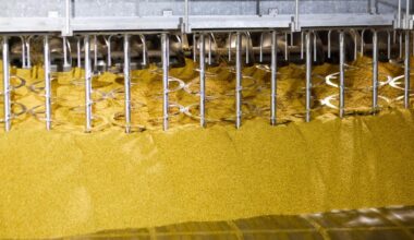 Slovakia is one of the largest malt exporters in the EU and in the world