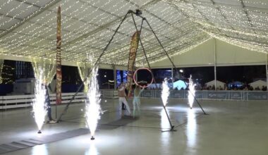 Várja a látogatókat az újvidéki Jégerdő