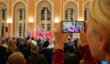 Snake "Happy Spring Festival" New Year Celebration Gala held in Berlin, Germany-Xinhua