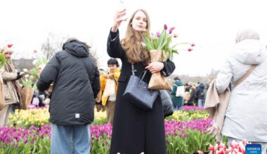People celebrate National Tulip Day in Amsterdam, the Netherlands-Xinhua