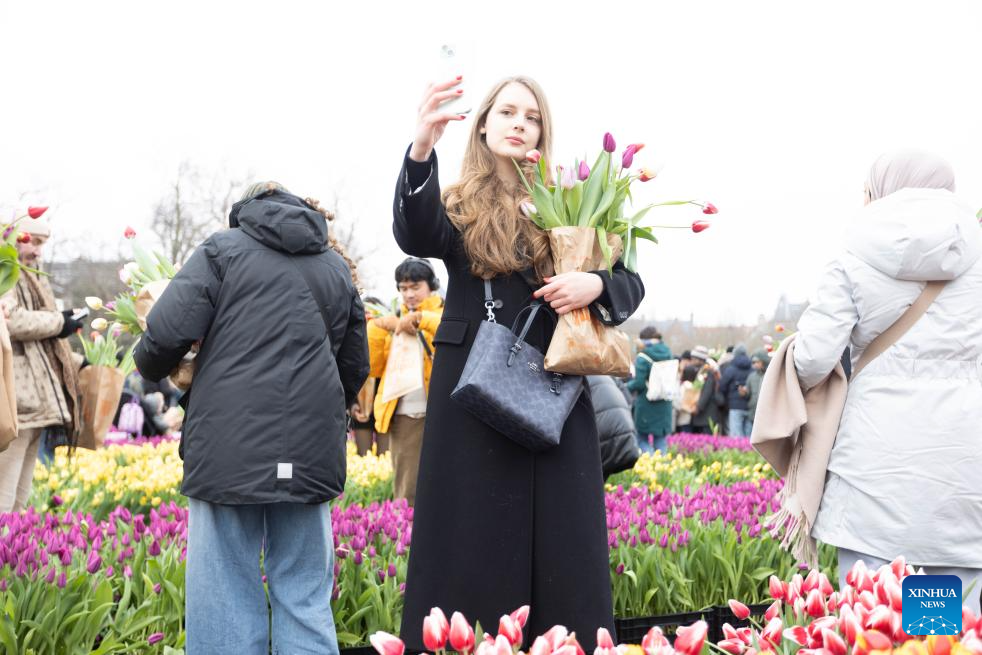 People celebrate National Tulip Day in Amsterdam, the Netherlands-Xinhua