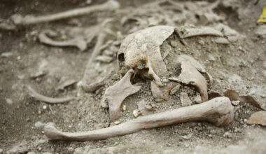"Vampire" burial in Croatia. Credit: Milica Nikolić