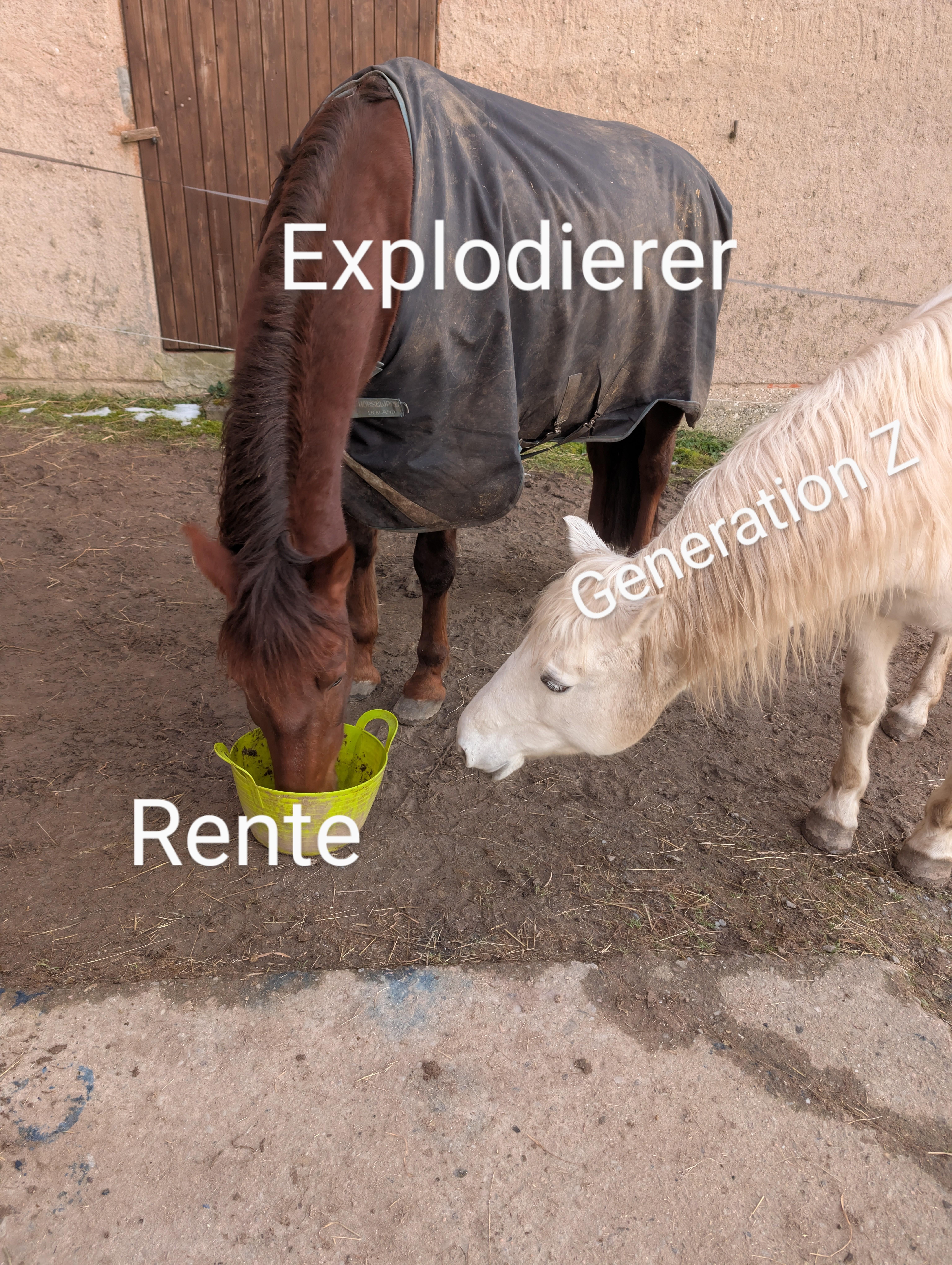 Ich🥸🤝🧓iel