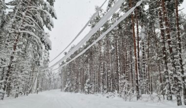 Eestis on elektrita 15 000 majapidamist | Eesti