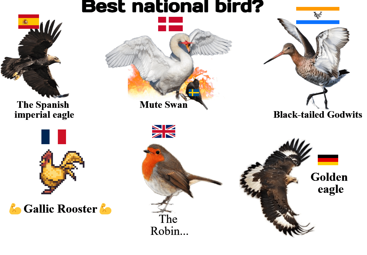 This is an honest opinion and not biased in any way. My nationality has nothing to do with it