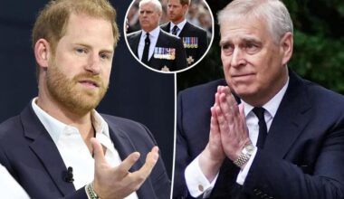 Prince Andrew and Prince Harry’s brutal nicknames given by palace staffers revealed