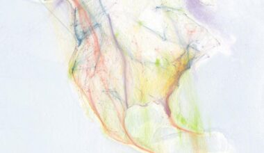 Bird Migration Visualized