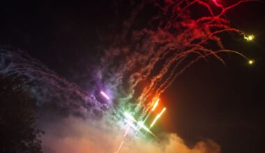 NYE fireworks have terrible impact on environment and toxic to humans - US News - News