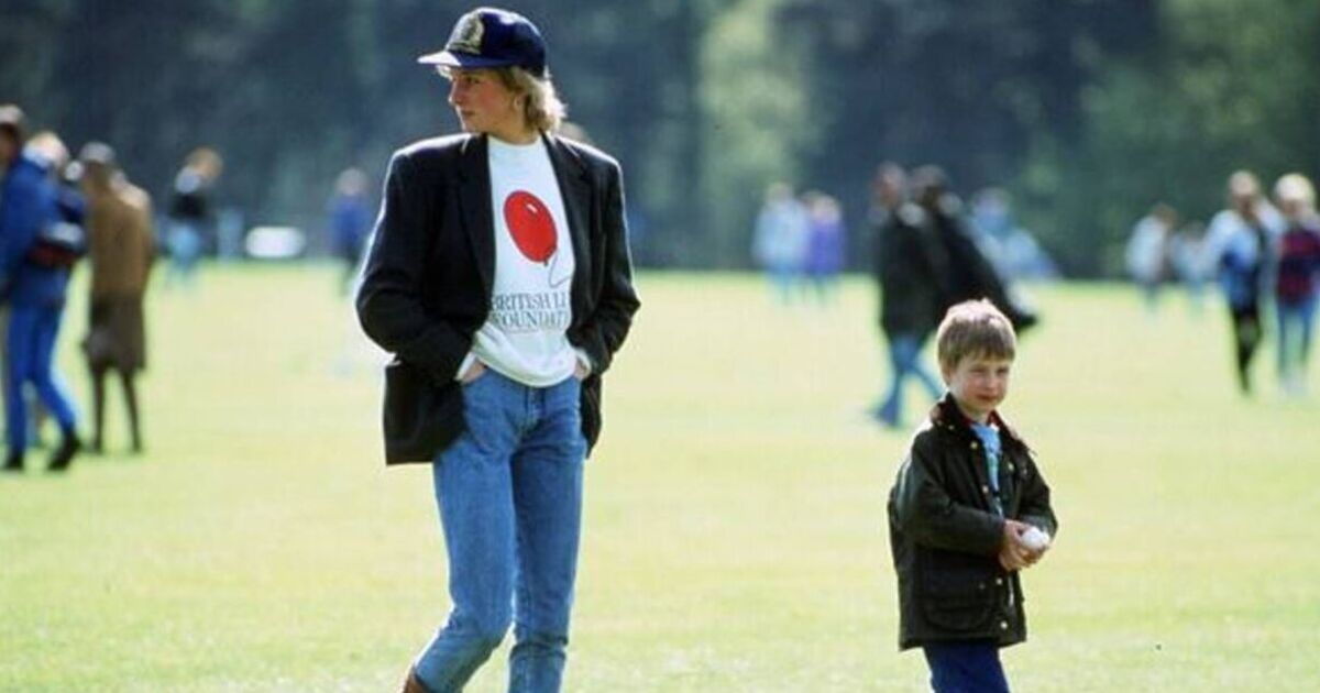 Princess Diana outfit showed Royal Family 'how to tour' - Royals - News