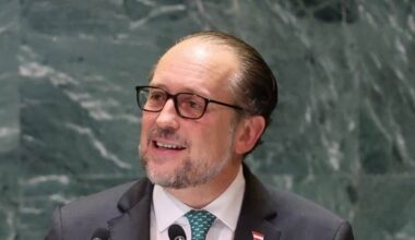 Austrian FM Schallenberg allegedly becomes interim chancellor