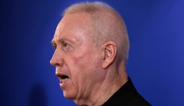 l'ancien ministre de la Défense Gallant quitte le Parlement