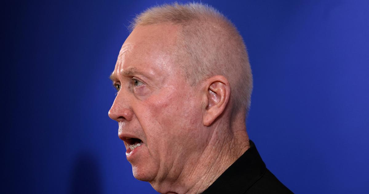 l'ancien ministre de la Défense Gallant quitte le Parlement