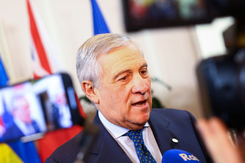 Vote for CDU-CSU, Italy's foreign minister tells Italians living in Germany