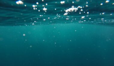 New Study Uncovers Vital Ocean Processes for Carbon Storage and Climate Regulation