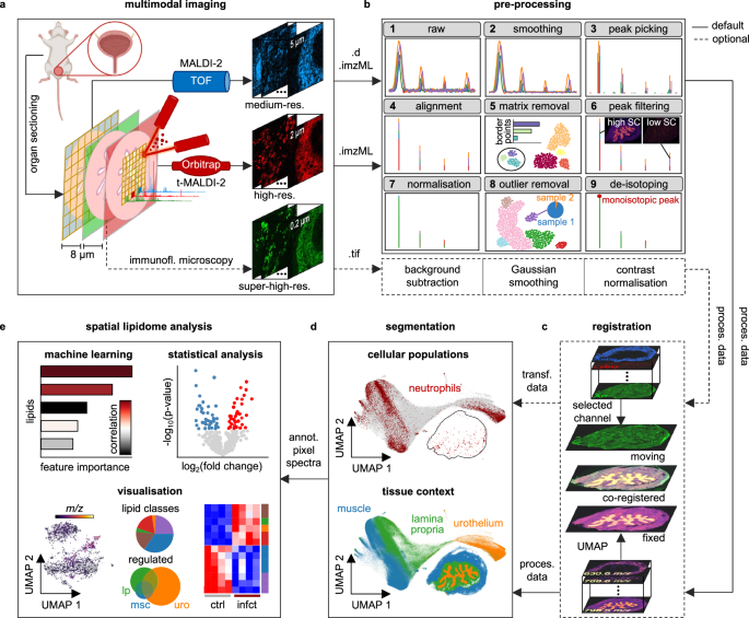 msiFlow: automated workflows for reproducible and scalable multimodal mass spectrometry imaging and microscopy data analysis