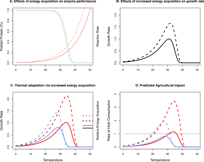 Life-history adaptation under climate warming magnifies the agricultural footprint of a cosmopolitan insect pest