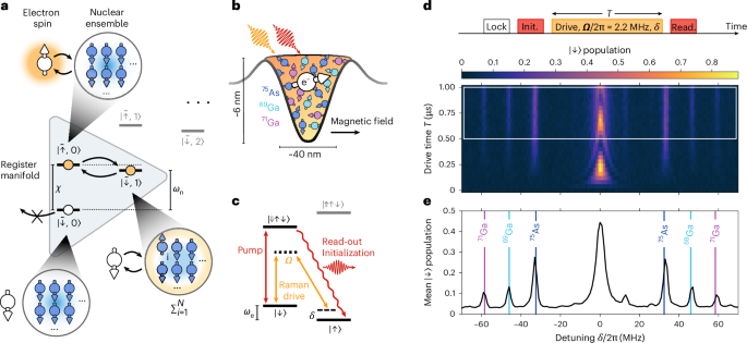 A many-body quantum register for a spin qubit