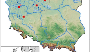 Long-term trends in water level fluctuations in lowland lakes in central Europe (Northern Poland)
