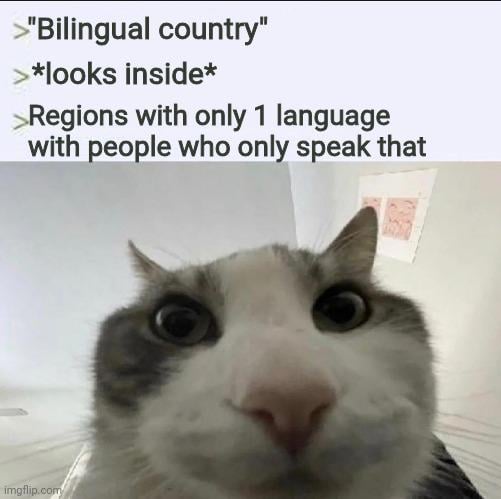 Belgium is not bilingual