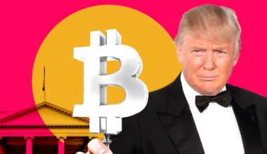Trump’s day-one crypto plan drives Bitcoin higher as expert sees $102,000 rally – DL News