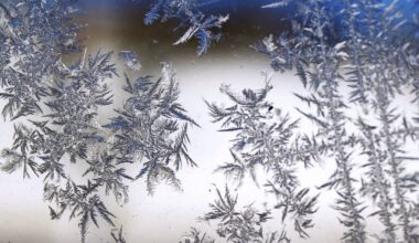 Energy conservation tips amid winter air blast