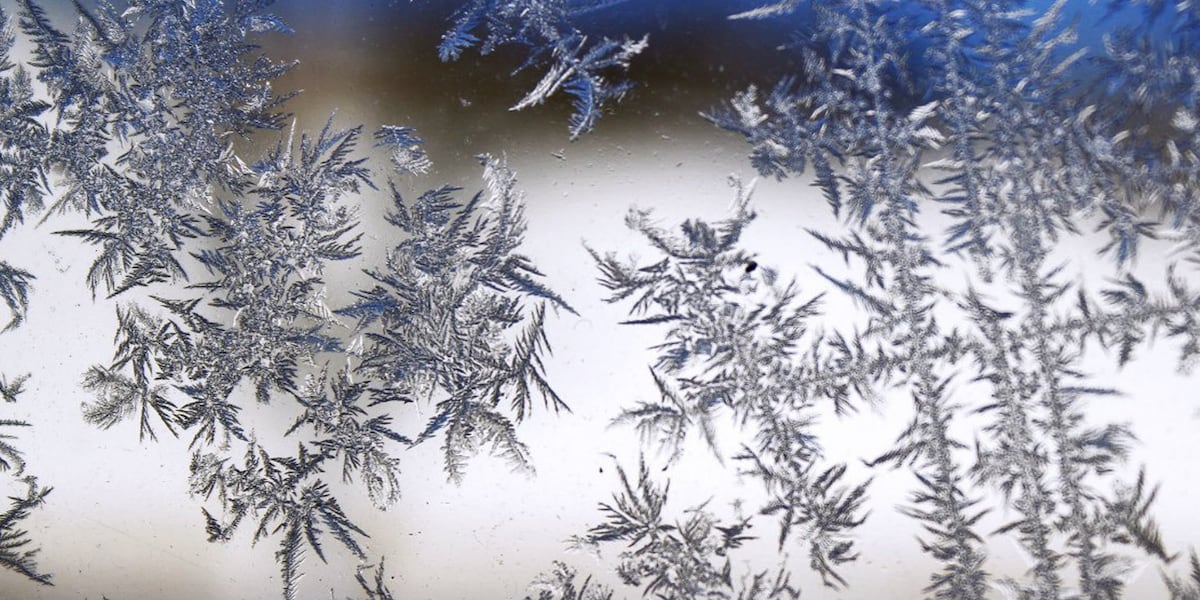 Energy conservation tips amid winter air blast