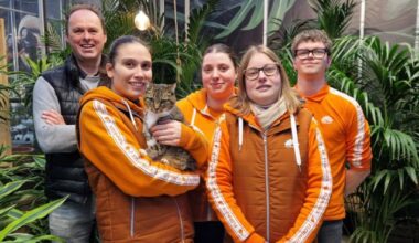 Kater Flor is na meer dan een maand terug thuis in Floralux: “Het mooiste nieuwjaarsgeschenk” (Binnenland)