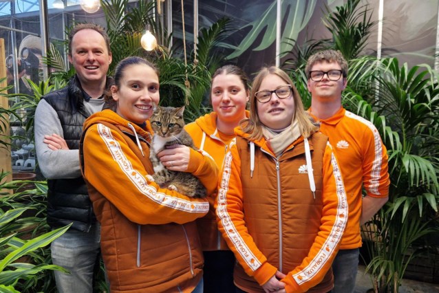 Kater Flor is na meer dan een maand terug thuis in Floralux: “Het mooiste nieuwjaarsgeschenk” (Binnenland)