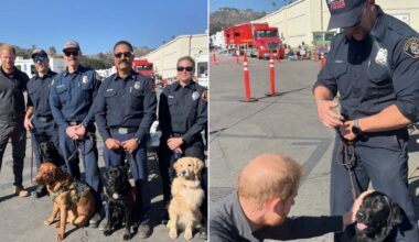 Prince Harry Met Cute Therapy Dogs and Firefighters in Salinas, California
