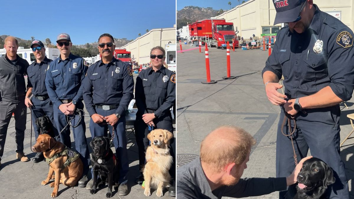 Prince Harry Met Cute Therapy Dogs and Firefighters in Salinas, California