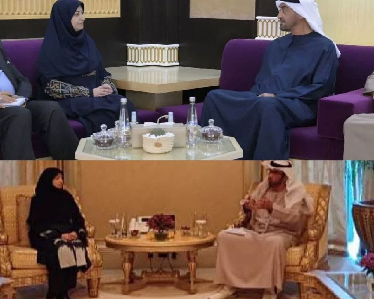 Tehran, Abu Dhabi underscore boosting environmental ties