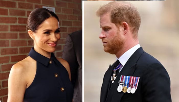 Prince Harry, Meghan Markle offered alot of support over ‘disturbing allegations