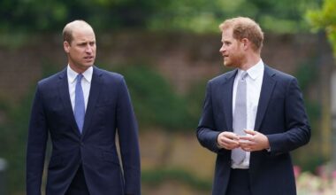 Unlikely royal who acted as 'peacekeeper' in Prince Harry and Prince William's rift | Royal | News