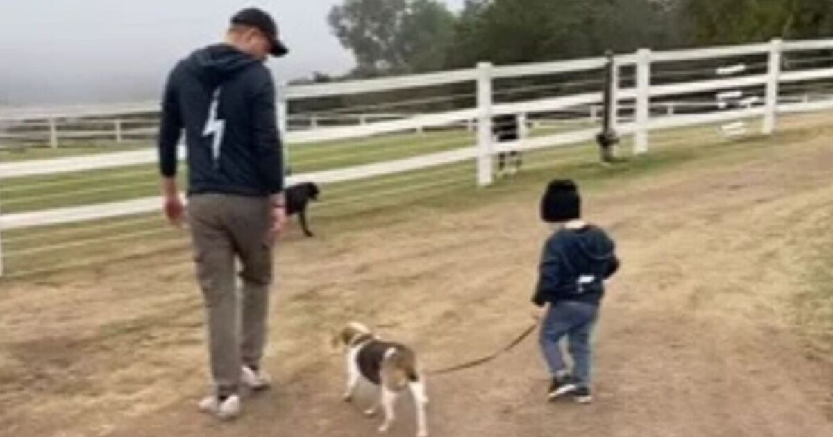 Prince Harry and Prince Archie share adorable moment in new family video | Royal | News