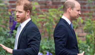 Loophole that means actor will inherit Diana's childhood home over William and Harry | Royal | News