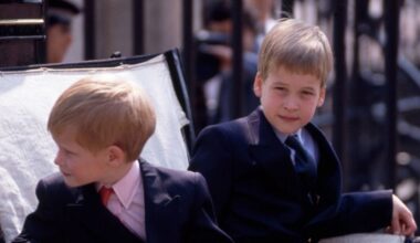 'I was Prince William and Harry's chef - these are the surprisingly normal meals they had' | Royal | News