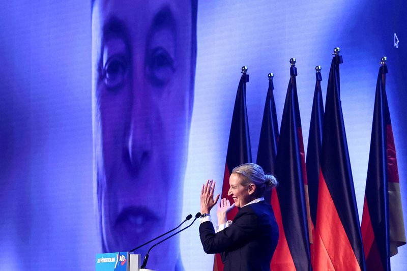 Central election campaign event of the AfD in Halle (Saale)