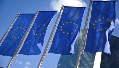 Euro zone economy ended 2024 in precarious state, PMI shows