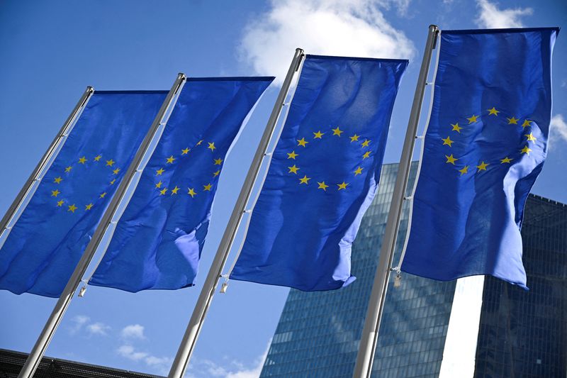 Euro zone economy ended 2024 in precarious state, PMI shows