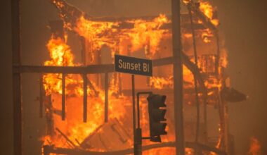 Los Angeles wildfires claim at least 24 lives as Gavin Newsom faces new funding scrutiny