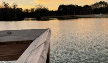 South Carolina lawmakers urged to prioritize environment in upcoming legislative session